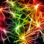 annoy, cells, stars, dendrites sepia, excitement, brain, gold, brain function, pulse, management, shining, nerve plexus, nervous system, neurons, network, stimulus transmission control center, signal, steering, synapse, brain, brain, brain, brain, brain, nervous system, neurons