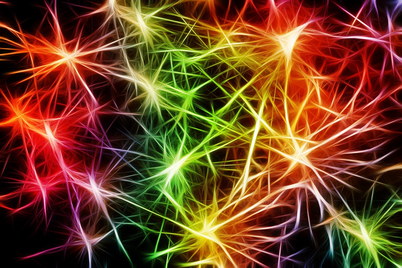 A Calm After a Nervous System Reset
