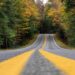road, landscape, autumn, highway, fall, forest, nature, woods, country