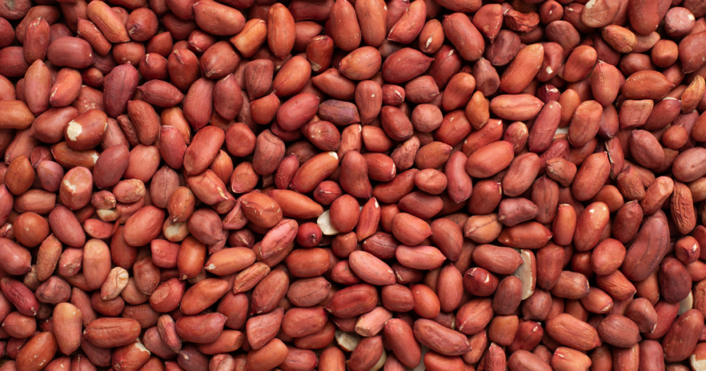Beans, red beans, protein, flavor, benefits