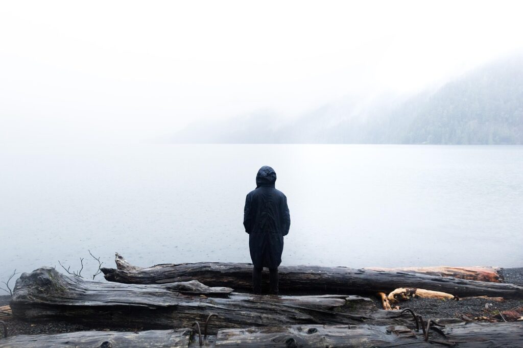 lake, logs, nature, person, solo, wooden logs, person, sovereign, woman,