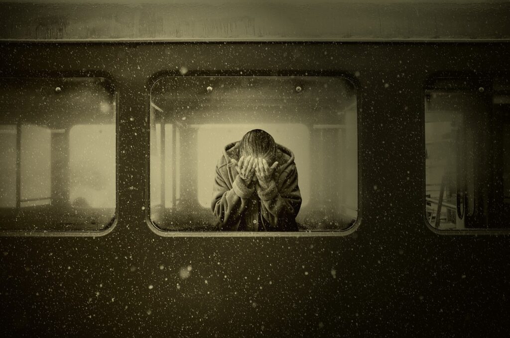 woman, starting over, train, train compartment, farewell, grief, despair, emotions, lonely, lonliness, abandoned, platform, station, feelings, old woman, poverty, train window, person, sepia, freeze, frost, fog, darkness, train, train, train, train, train, grief, grief, grief, lonely, lonely, lonliness, feelings, poverty, poverty