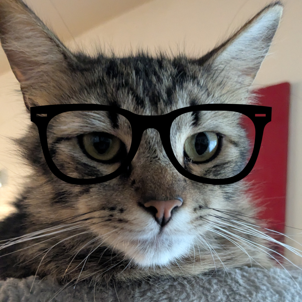 Cornelius loves Cozi Crossword Puzzles