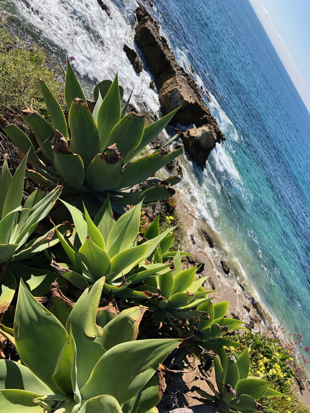 Morning view on the Pacific Coastline