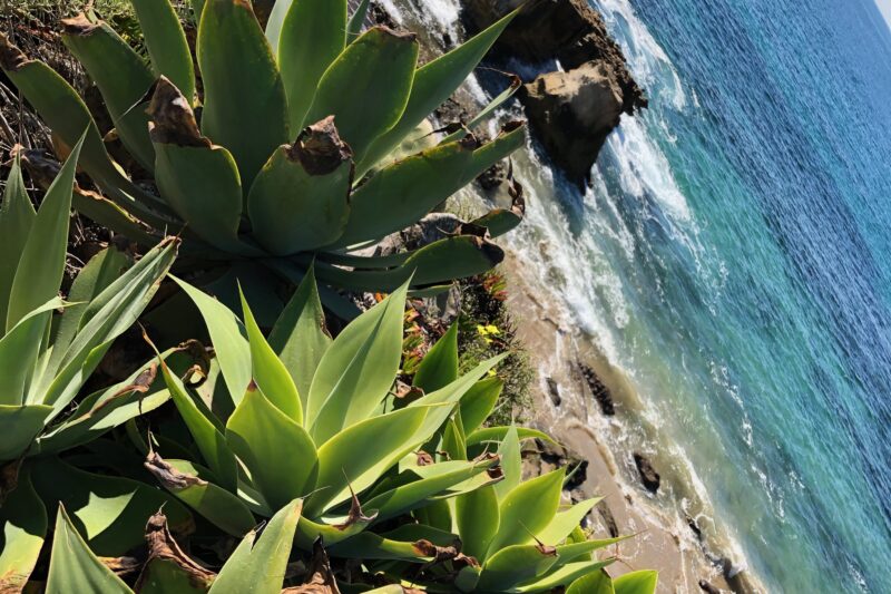 Sunday Cozi Crossword: Coastal Retreats