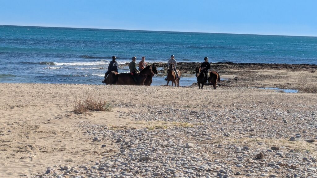 A group, community, riding horse along the coast of Spain | Photo by LA Gonzales