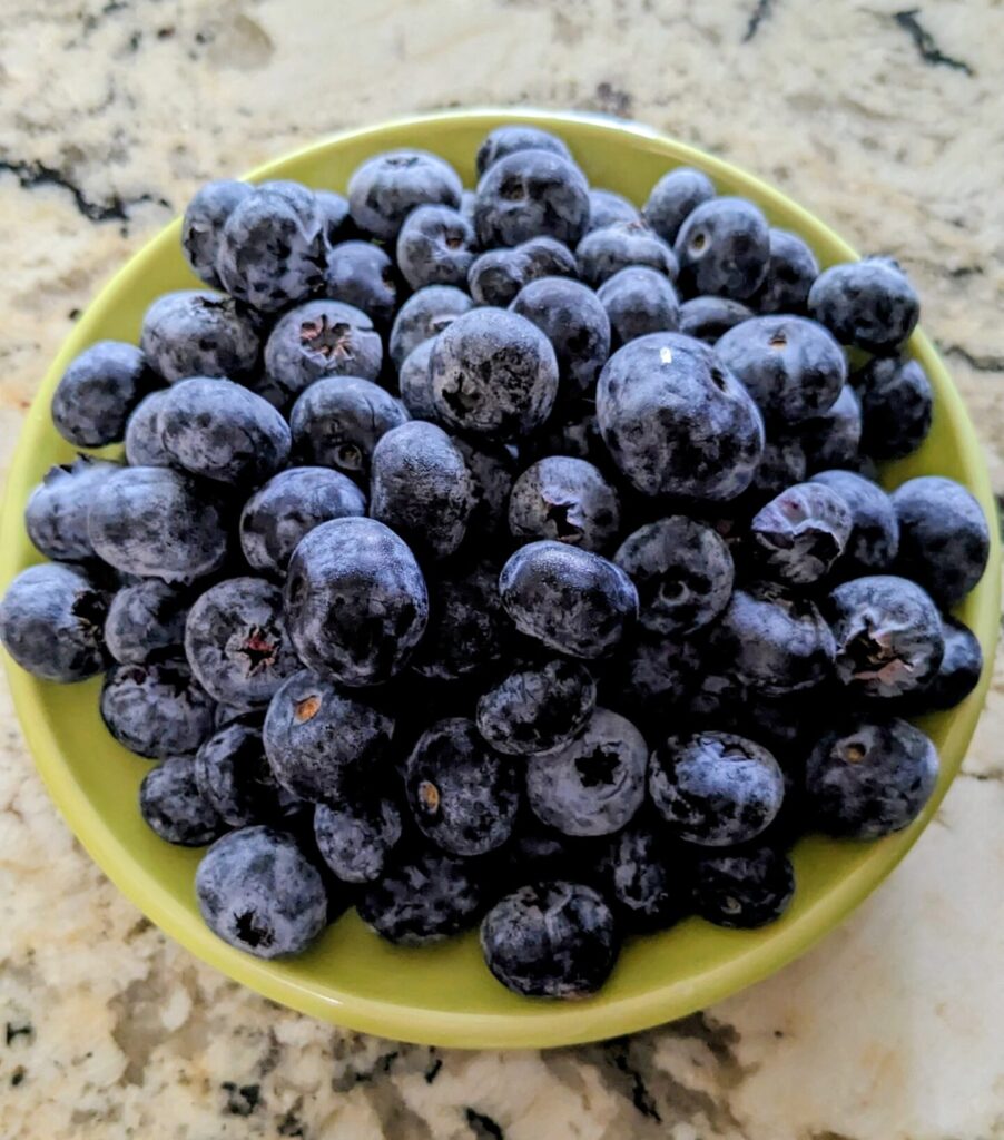 Fresh blueberries in a bowl, ready to start a healthy day.