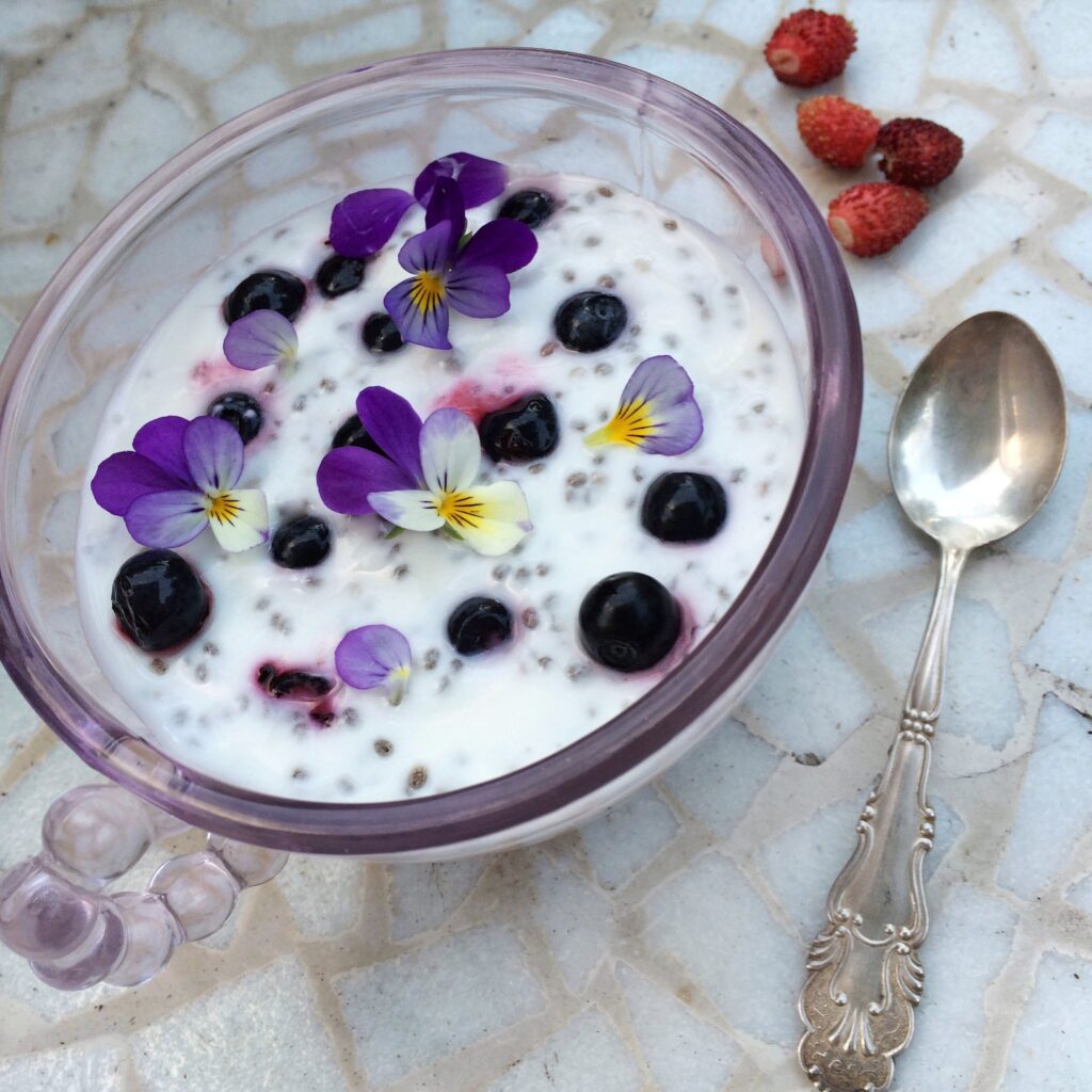 Blueberry chia  in a bowl | photograph by ekologiskt_skafferi Pixabay