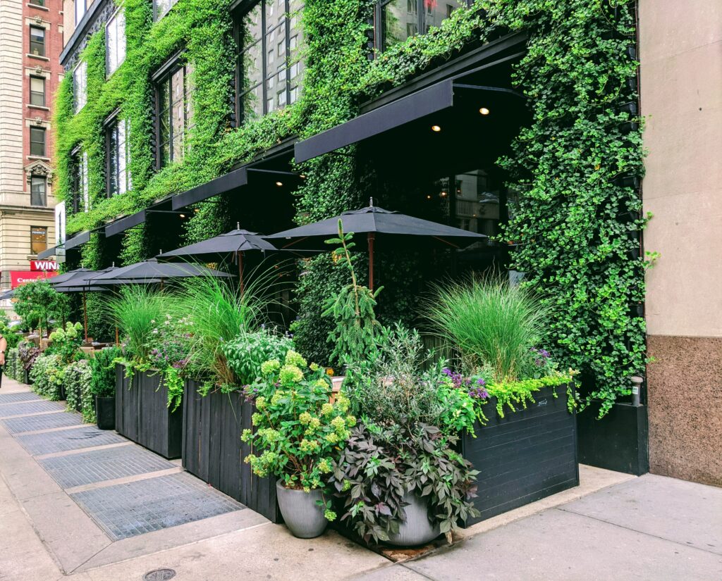 Bistro in Manhattan, New York, Cafe, Wine and Food