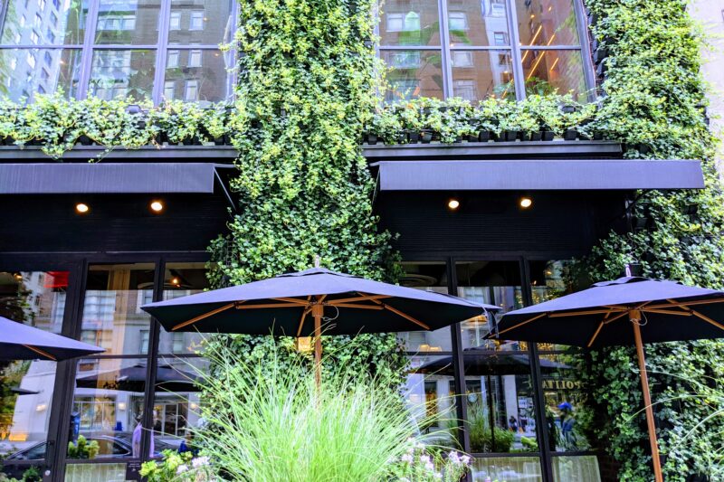 How the Right Wine Can Elevate Any Meal